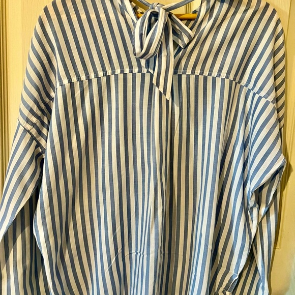 ZARA BASIC Collection - Picture 3 of 4